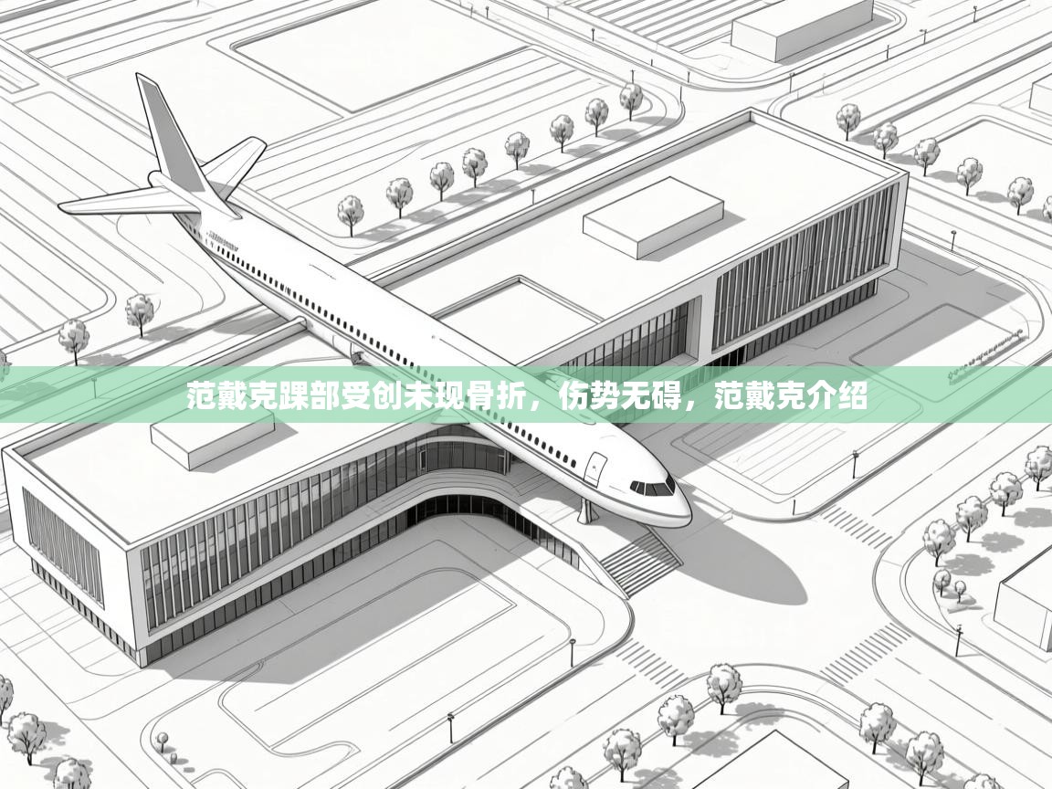 爱游戏体育娱乐赞助马竞-范戴克踝部受创未现骨折,伤势无碍,范戴克介绍 第1张