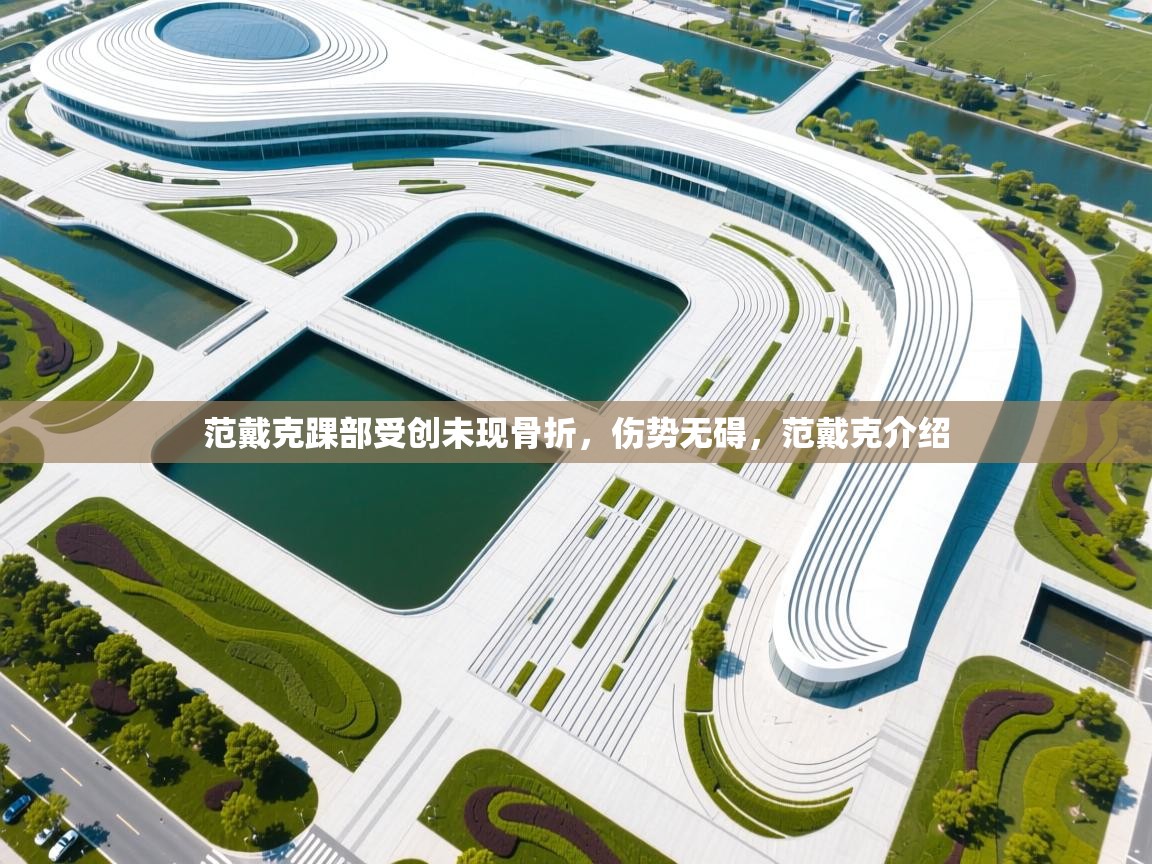 爱游戏体育娱乐赞助马竞-范戴克踝部受创未现骨折,伤势无碍,范戴克介绍 第2张