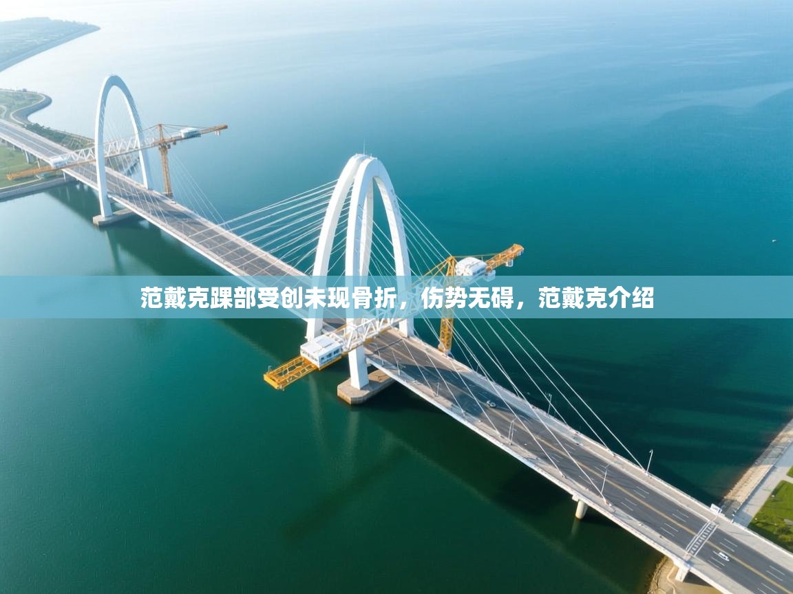 爱游戏体育娱乐赞助马竞-范戴克踝部受创未现骨折,伤势无碍,范戴克介绍 第3张