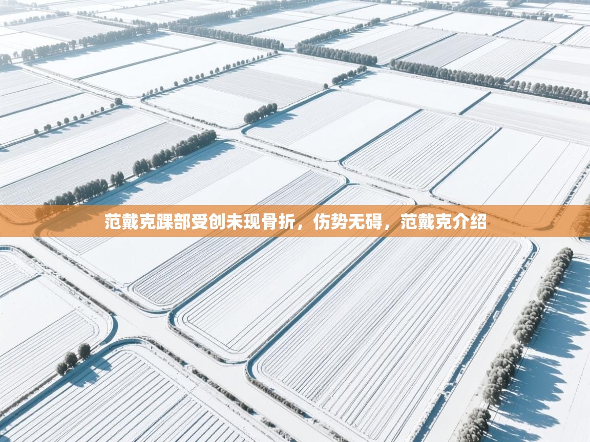 爱游戏体育娱乐赞助马竞-范戴克踝部受创未现骨折,伤势无碍,范戴克介绍 第4张