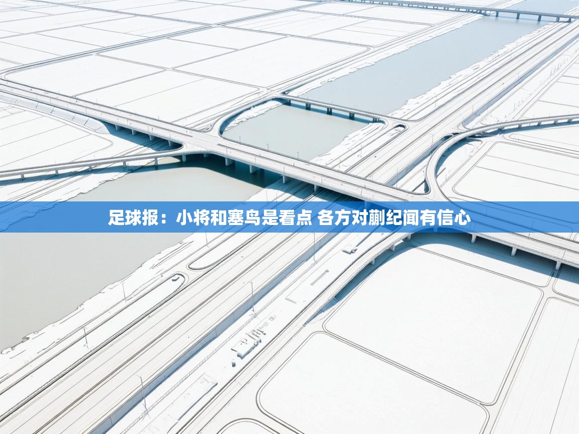 爱游戏体育-足球报：小将和塞鸟是看点 各方对蒯纪闻有信心  第3张