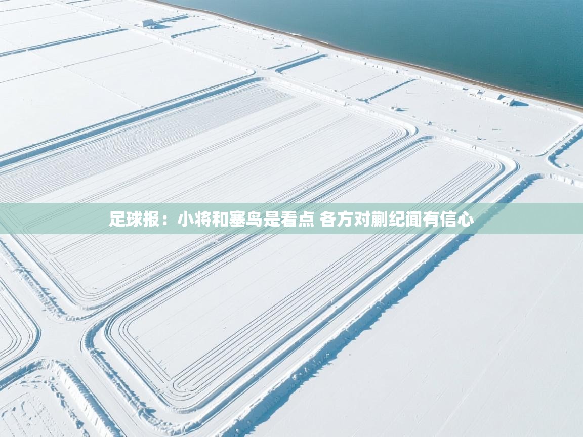 爱游戏体育-足球报：小将和塞鸟是看点 各方对蒯纪闻有信心  第4张