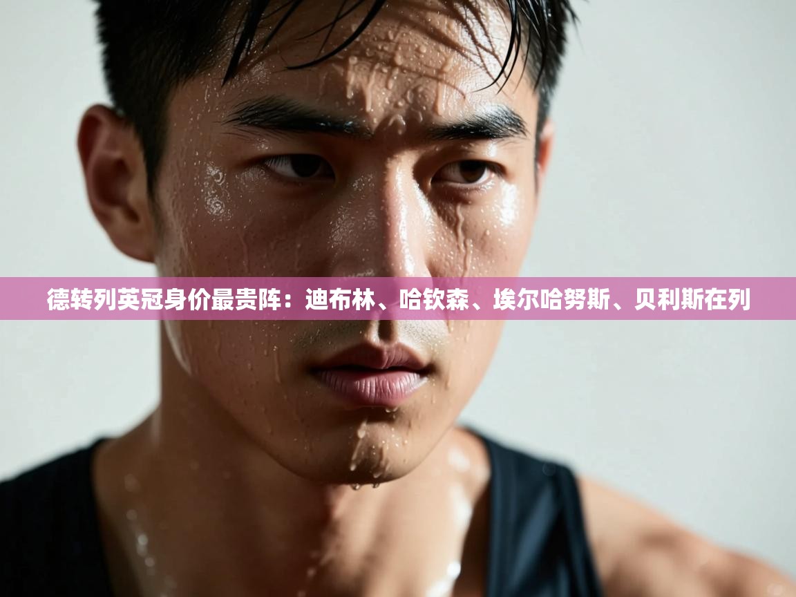 -德转列英冠身价最贵阵：迪布林、哈钦森、埃尔哈努斯、贝利斯在列  第2张