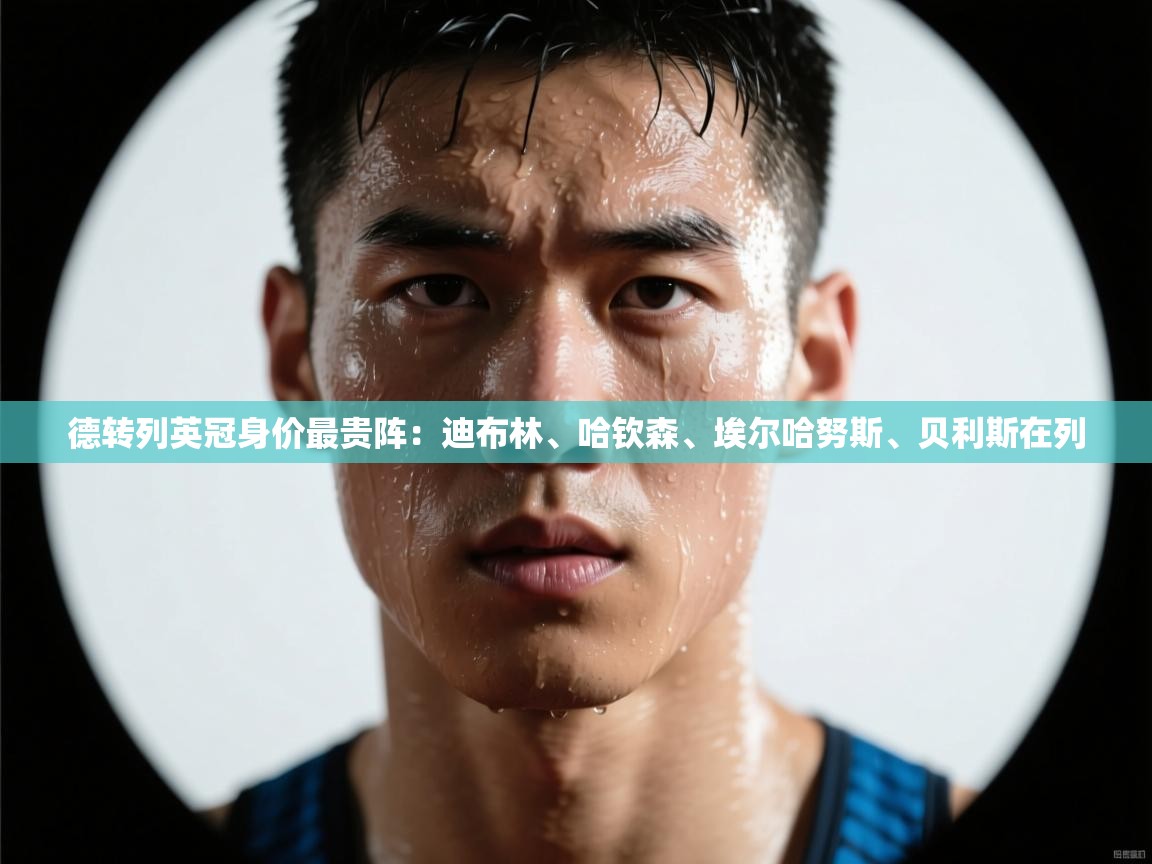 -德转列英冠身价最贵阵：迪布林、哈钦森、埃尔哈努斯、贝利斯在列  第3张