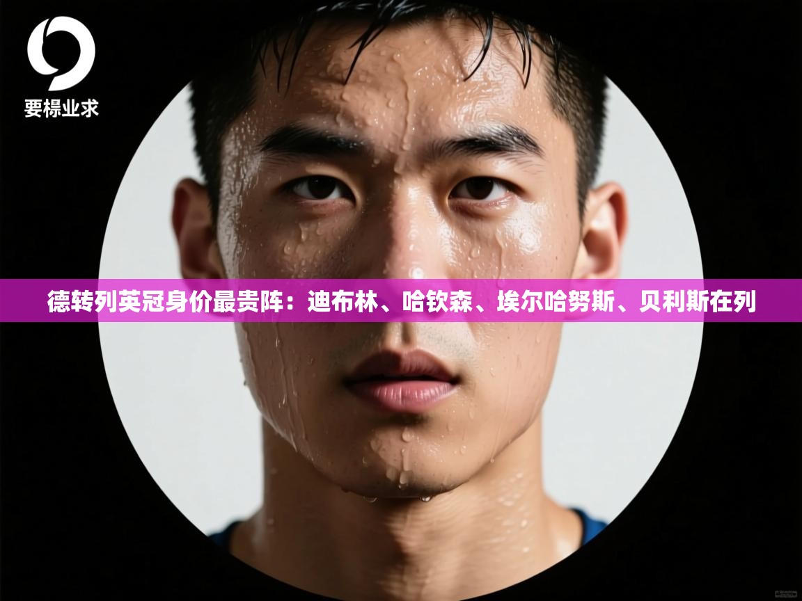 -德转列英冠身价最贵阵：迪布林、哈钦森、埃尔哈努斯、贝利斯在列  第4张