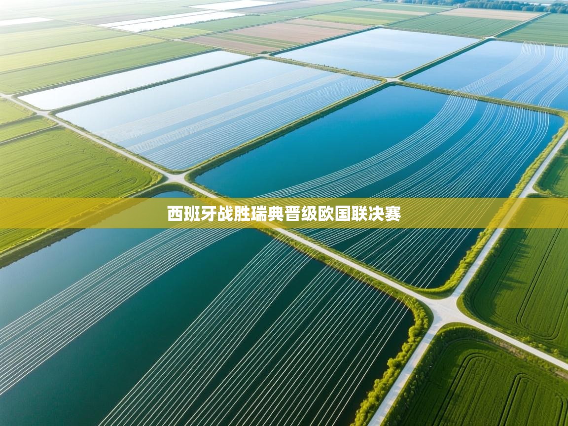 爱游戏官网-西班牙战胜瑞典晋级欧国联决赛  第1张