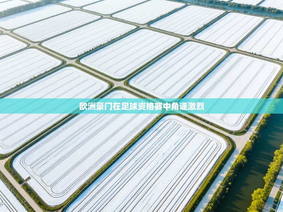 爱游戏体育娱乐-欧洲豪门在足球资格赛中角逐激烈  第3张