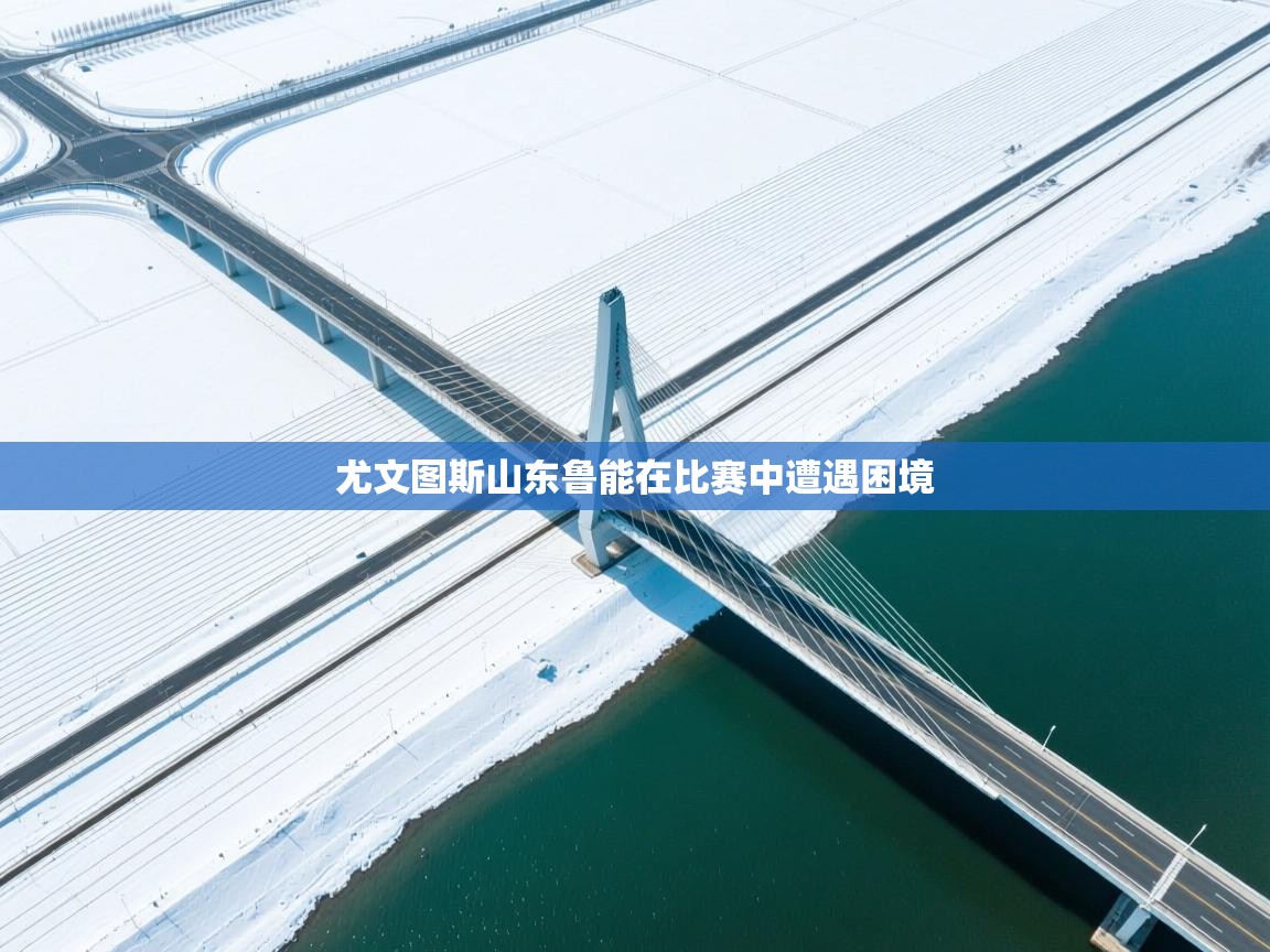 爱游戏下载-尤文图斯山东鲁能在比赛中遭遇困境  第3张