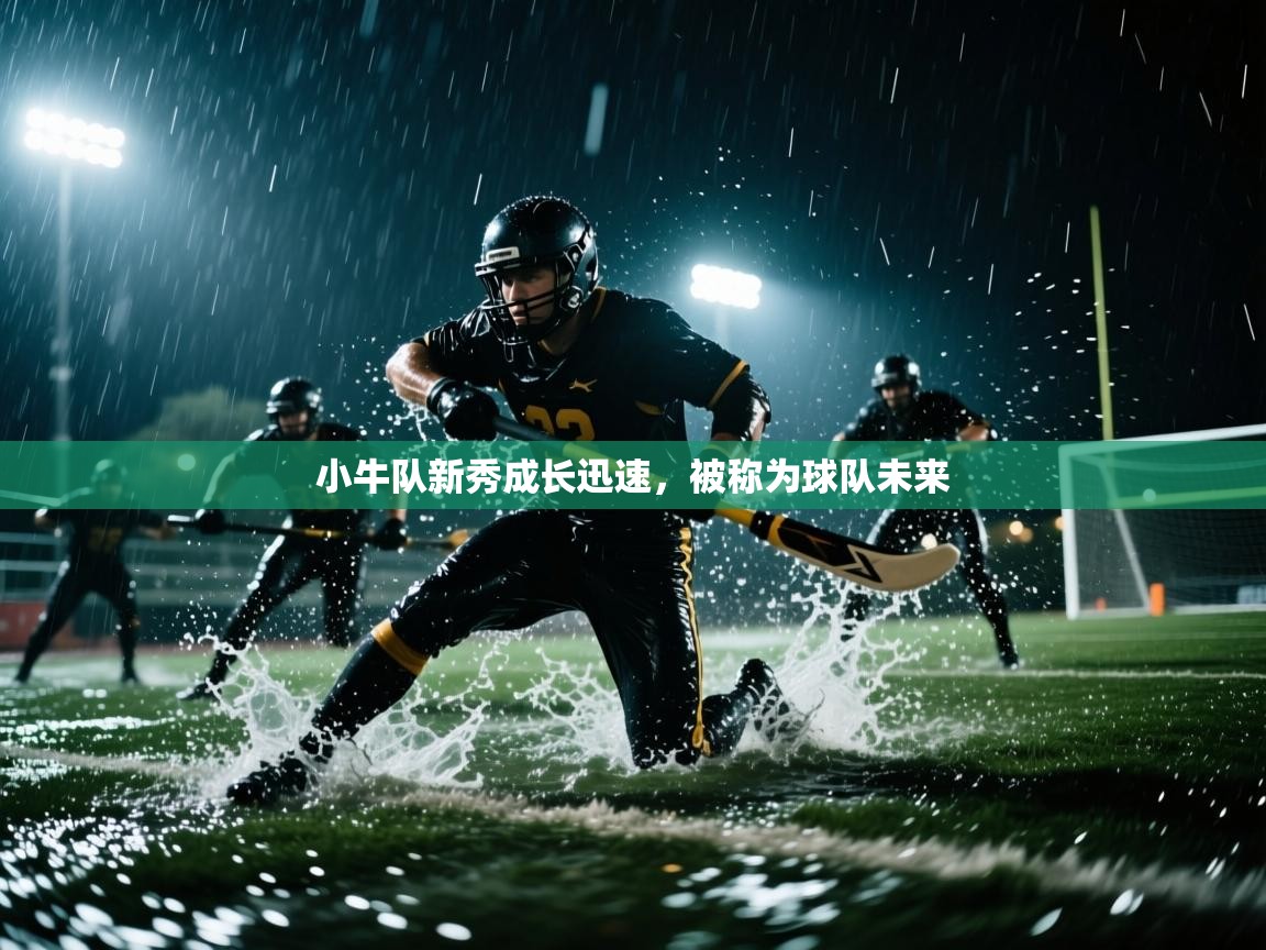 爱游戏体育官网-小牛队新秀成长迅速，被称为球队未来  第2张