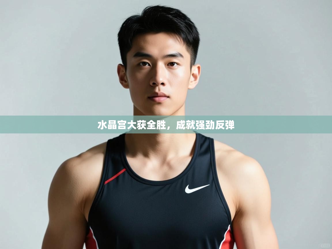 体育互动直播网-水晶宫大获全胜,成就强劲反弹 第2张