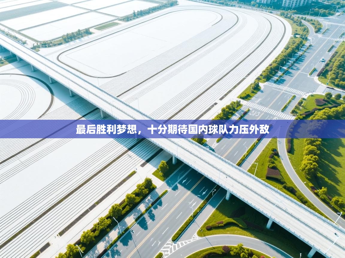 爱游戏娱乐平台-最后胜利梦想，十分期待国内球队力压外敌  第4张