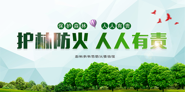 关于森林火队主帅自责球队失分，寻找牛鼻近路变局的信息